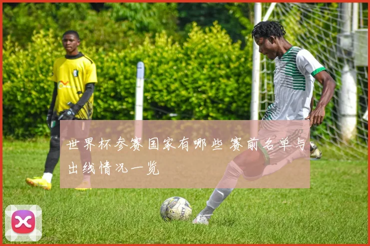 世界杯参赛国家有哪些 赛前名单与出线情况一览