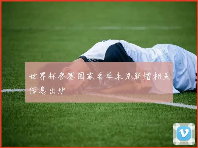 世界杯参赛国家名单未见新增相关信息出炉